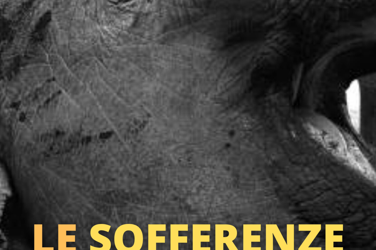 Copertina Sofferenze Animali 1 scaled