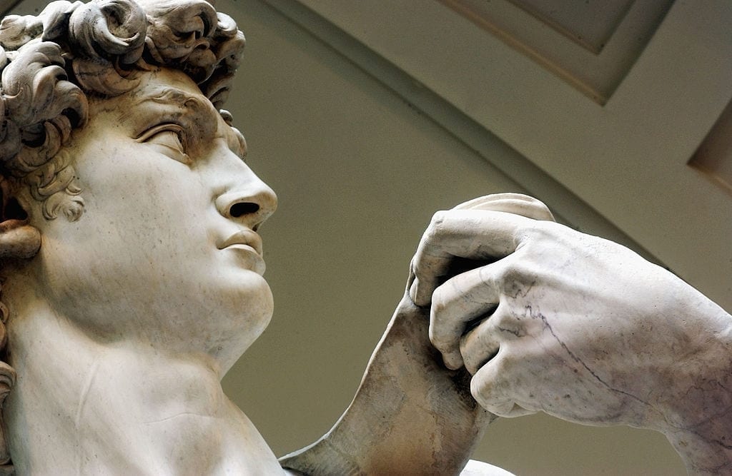 david michelangelo